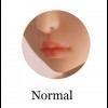 Normal Lips (Matte) 